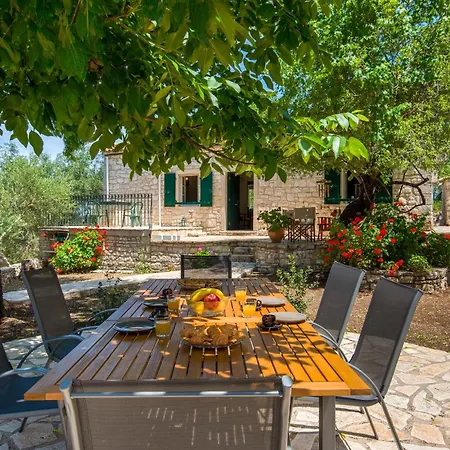 The Old One By About Paxos * Kourtaiika