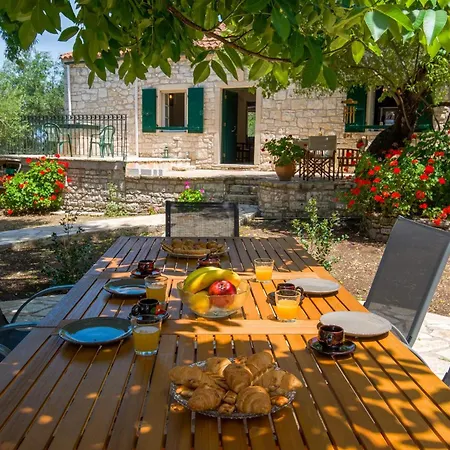 The Old One By About Paxos * Kourtaiika