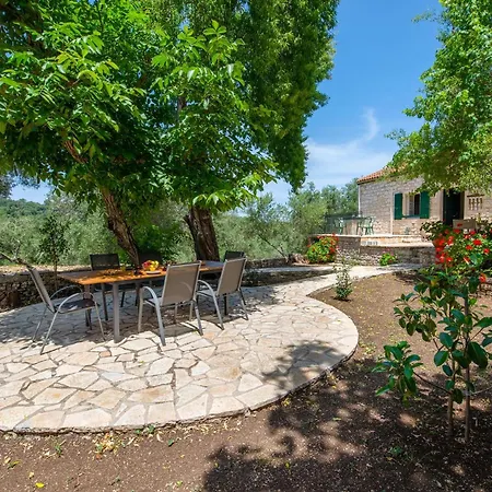 The Old One By About Paxos